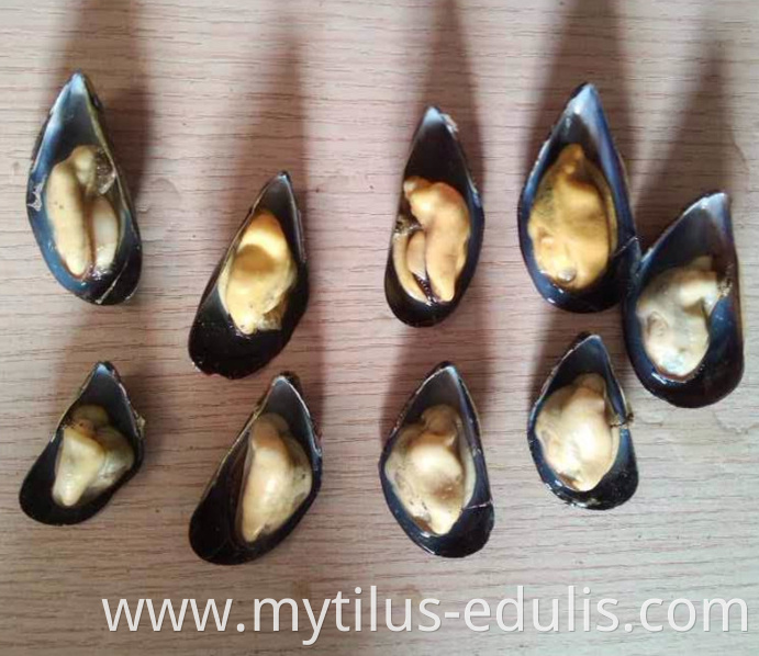 natural flavor hot sale frozen half shell mussels